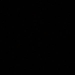 Meet your Posher, Oscar